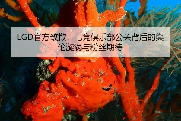 LGD官方致歉：电竞俱乐部公关背后的舆论漩涡与粉丝期待